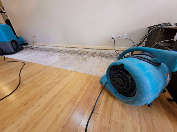 Professional Water Extraction technician working in Hatfield, MA